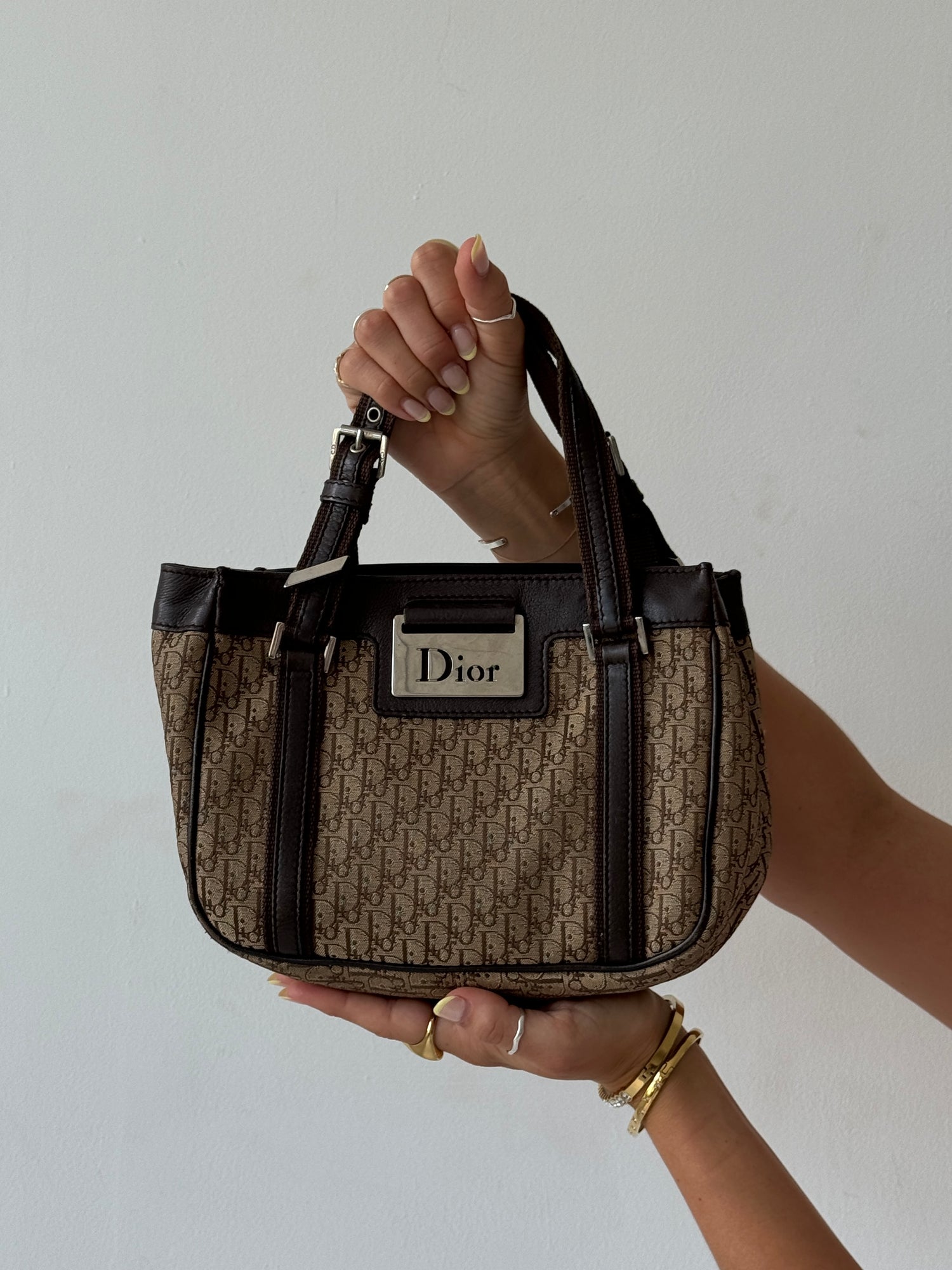 Christian Dior Monogram Street Chic Handbag (2006)