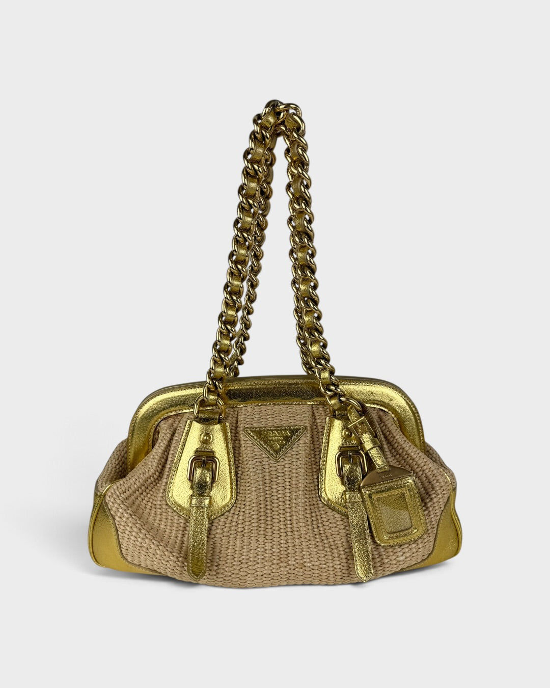 2007 RARE Prada Paglia & Cinghiale Woven Handbag