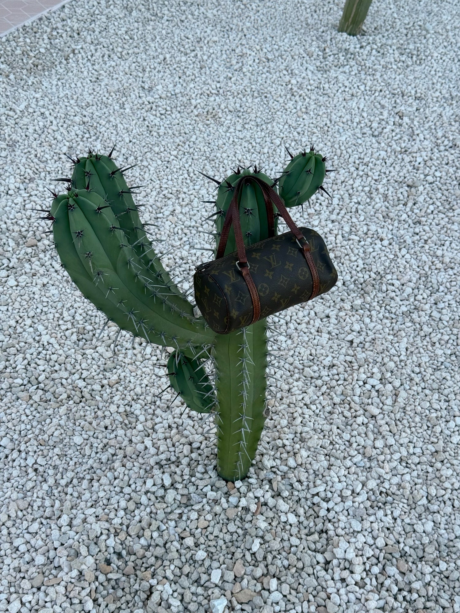 Vintage Louis Vuitton Papillon 20 Handbag
